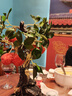 灵蛇(LINGSHE)键盘托鼠标垫护腕套装 笔记本电脑办公硅胶手腕垫枕手托硅胶腕托键盘垫 H89  招财虎 实拍图