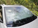 鑫吉奥汽车遮阳挡车内前档风玻璃防晒遮阳帘夏季车窗用遮光车载遮阳伞 本田思域雅阁冠道飞度凌派奥德赛艾力绅CR-V皓影 【专车专用】【下单留言车型年款】 实拍图