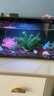 米家小米智能鱼缸 一体整机免装语音遥控半年免换水APP定时喂食水族箱 米家智能鱼缸+生化滤芯 实拍图