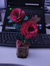 若物木艺繁花积木花diy手工花老师立体拼图毕业生日礼物 红康乃馨 实拍图