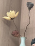 爱满（AIMAN）莲蓬干花花束莲花荷花真花禅意风干中式插花客厅装饰摆件招财 组合9（不带瓶） 实拍图