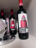 奥兰小红帽果香型西拉干红葡萄酒(SF135)750ml 单支【经典升级】 实拍图