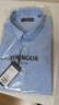 雅戈尔（YOUNGOR）长袖衬衫男纯色DP免烫衬衫棉质面料抗皱易打理新品 VLDP124888HJY蓝色 41 实拍图