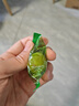 珍田阁青梅脆爽青口梅称酸脆凉果水果蜜饯果脯酸梅子孕妇零食 【1罐】青梅脆 果干类 250g 实拍图