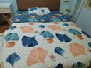 南极人（Nanjiren） 床上四件套纯棉100%纯棉全棉被套春秋被罩床笠款床单人床品套件4 优雅生活米-LQX【100%全棉】 1.8m 床单款 （被套200*230cm） 实拍图