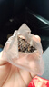 大红袍茶叶秋茶新茶礼盒装岩茶肉桂乌龙茶买 2送茶具 客仙闽 实拍图