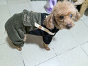 喵先生 宠物狗狗衣服小型犬泰迪衣服冬季狗衣服小狗幼犬衣服四脚棉 大口袋背带裤XL码 建议14-18斤内 实拍图