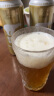 豪铂熊（BearBeer）金小麦白啤酒500ml*24听整箱装 德国进口 晒单实拍图