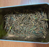 福茗源茶叶绿茶 正宗特级安吉白茶 兰香明前头采2025新茶叶礼盒送礼250g 实拍图