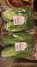 密农人家 直立散叶生菜 罗马生菜 新鲜蔬菜 凉拌蔬菜沙拉奶油生菜300g 实拍图