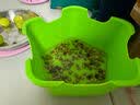 匠心绽放开学季礼物水培菜种植套装儿童幼儿园DIY植物根系观察豌豆10114 实拍图
