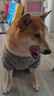 茨格曼狗狗衣服冬季保暖中大型犬薄绒金毛萨摩耶拉布拉多边牧加厚狗衣服 狗衣服薄绒 5XL【建议30斤内狗】 实拍图