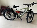 凤凰电助力自行车锂电变速电动山地车青少年通勤代步NFC仪表电瓶车 Q1青耀/高配双重减震/48V一体轮 10AH/禧玛诺7级变速/26寸 实拍图