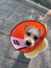 华元宠具（hoopet）狗狗伊丽莎白圈项圈小型犬宠物猫咪颈圈脖圈头套猫伊利沙白圈头罩 实拍图