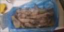 颐晟泰 虾 青岛大虾鲜活海捕虾类 基围虾生鲜青虾白虾海虾海鲜水产 盐冻 12-13cm 1.65kg(净重) 实拍图