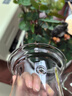 忆壶茶（YIHUTEA） 茶壶玻璃泡茶壶侧把过滤煮茶壶加厚耐热电陶炉烧水壶养生煮茶器 【700ML】实木把-加厚玻璃茶壶 实拍图