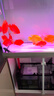 森森（SUNSUN）鱼缸水族箱含鱼缸过滤器灯大型金鱼缸 宝马灰 新时尚1米长41.6cm宽底滤 带棉+滤材 实拍图
