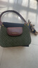 CLEVER & KETCH包包女包轻奢斜挎单肩包新款百搭休闲法棍包 生日礼物送女友 墨绿色CK100-3011 实拍图