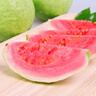 探味君 广西红心芭乐番石榴 新鲜水果生鲜健康轻食带箱 软糯白心芭乐5斤 实拍图