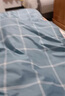 雅鹿·自由自在 A类抗菌纤维被子被芯秋冬天季单双人褥棉被4斤200x230cm 蓝小格 实拍图