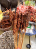柒岛【一站购齐】团建烧烤食材半成品羊肉串腌制烧烤套餐食材串串 畅销4-6人净重4.8斤，10种150串 实拍图