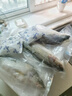渔吻 新鲜海鲈鱼3条装鲜活冷冻七星深海鲈鱼花鲈鱼生鲜鱼类鱼礼盒 整条鲈鱼500g*3条 实拍图