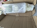 叹为观止18种吊兰任你选金边吊兰各种盆栽花卉客厅垂吊桌面植物净化空气 水培粉掌【玻璃瓶】收到即赏 不含盆 实拍图