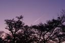 腾龙（Tamron）B070X 17-70mm F/2.8 Di III-A VC RXD防抖大光圈富士微单镜头风光人像旅行（富士X口） 实拍图