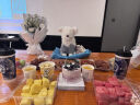 Jellycat埃瓦尔特牧羊犬毛绒玩具公仔玩偶送礼礼物春夏新品 灰色和白色 One Size 晒单实拍图