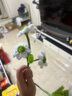 乐哲花杆扭扭棒铁丝手工玫瑰花束diy材料包仿真花艺胶带送女友礼物 实拍图