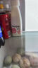 君乐宝纯享白桃+燕麦益生菌风味发酵乳300g 实拍图