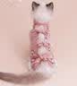 ycqpet猫咪绝育服小猫母猫透气手术服断奶薄款防掉毛术后防舔衣服S 实拍图