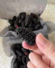 鲜级佳 新鲜桑葚鲜果现摘6斤【闪送-多地次日达】桑椹果酱免洗水果泡酒 【聚划算-尝鲜装】2斤新鲜桑葚 精选装【80%客户选择-超划算】 实拍图