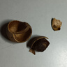 蓬源9A桂圆干250g 福建莆田龙眼干带壳银耳莲子羹食材(直径25mm以上) 实拍图