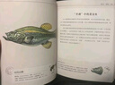 奇妙图书馆灭绝生物图鉴 水生生物有翼生物陆生生物 揭秘77种动物搞笑又奇葩的日常 灭绝动物科普书籍 有趣的灭绝动物图鉴书籍 科普百科全书 实拍图