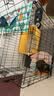 京喜自营-专用品牌猫笼子家用带厕所大自由空间猫舍送货上门 【热销推荐】折叠款-黑色双层69*50*59 套餐二：七件套 实拍图