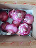 中鲜生 云南紫皮洋葱现挖红皮洋葱新鲜蔬菜生鲜当季新鲜洋葱 9斤装【精选装】 实拍图