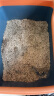 汪野君猫砂盆半封闭顶入猫厕防外溅幼猫成猫猫屎盆猫沙盆带猫砂铲大号 实拍图