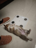 萌宠兄弟猫咪狗狗清洁去污干洗粉免洗宠物洗澡痱子粉抑菌止痒除臭去味留香 实拍图