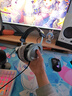 拜雅（beyerdynamic） DT880 头戴式高解析 宽频响 HIFI 半开放式动圈经典耳机  32欧低阻版 实拍图