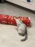乐优派猫隧道猫玩具自嗨解闷神器钻洞猫通道迷宫可折叠逗猫 鲤鱼款 实拍图
