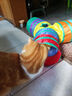 瓜洲牧逗猫棒猫玩具自嗨解闷神器猫隧道小猫咪迷宫通道幼猫宠物用品大全 彩虹Y隧道25（带球） 实拍图