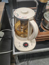 金灶（KAMJOVE）多功能养生壶 恒温保温花茶壶 1.5L大容量煮茶壶花果茶壶电热水壶烧水壶煮茶器HT-360 实拍图