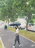 京尚小米遮阳伞24骨节节收全自动雨伞大号晴雨两用便携太阳伞防晒防紫外线 (促销)加固晴雨伞星夜黑24骨 实拍图