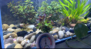 YEE鱼缸灯led灯水草灯防水水族箱节能防溅水支架灯水草灯专用观赏灯 三排【8W】灯长38cm（38-50cm鱼缸） 实拍图