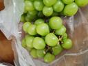 果益寿江苏阳光玫瑰葡萄【JD闪送】晴王葡萄青提子双11百亿补贴水果盒装 精品果2.7斤净重【单粒6-8g】 实拍图