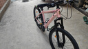 凤凰（Phoenix）山地车自行车女士成人青少年学生12岁到18岁官方2025新款轻便单车 钢架【6套轴承/超轻超快】辐条轮粉 24寸24速【适合138-168cm】 实拍图