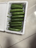 新鲜水果黄瓜现摘现发早餐减肥生吃无刺小黄瓜当季新鲜蔬菜即食 水果黄瓜 3斤 带箱 实拍图