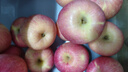 青怡陕西特产洛川红富士时令苹果新鲜水果礼盒 源头产地包邮直发 4斤【大果】210g+ 实拍图