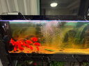 派乐特 鱼缸增氧泵氧气泵增氧机制氧机水族箱气泵家用造氧泵* 12W双孔套餐【适用120-200cm鱼缸】 实拍图